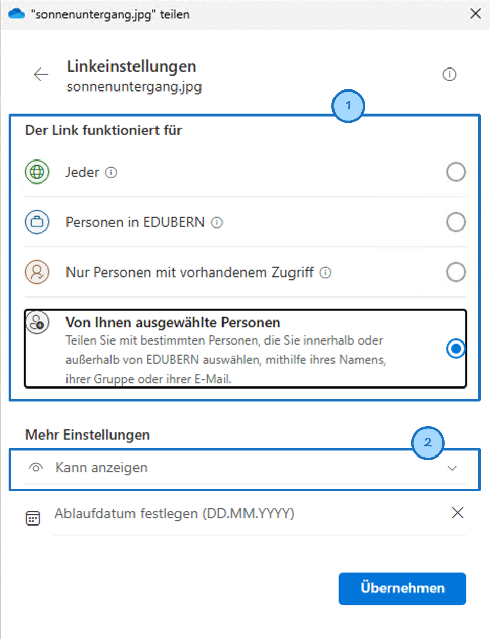 OneDrive Link-Einstellungen