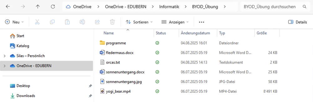 So sollte Ihr «BYOD_Übung»-Ordner aussehen